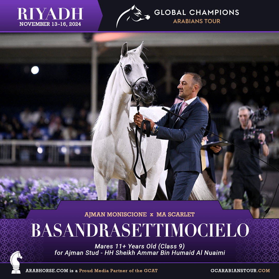 DAY 3: MARVELLOUS MARES AND STELLAR STALLIONS