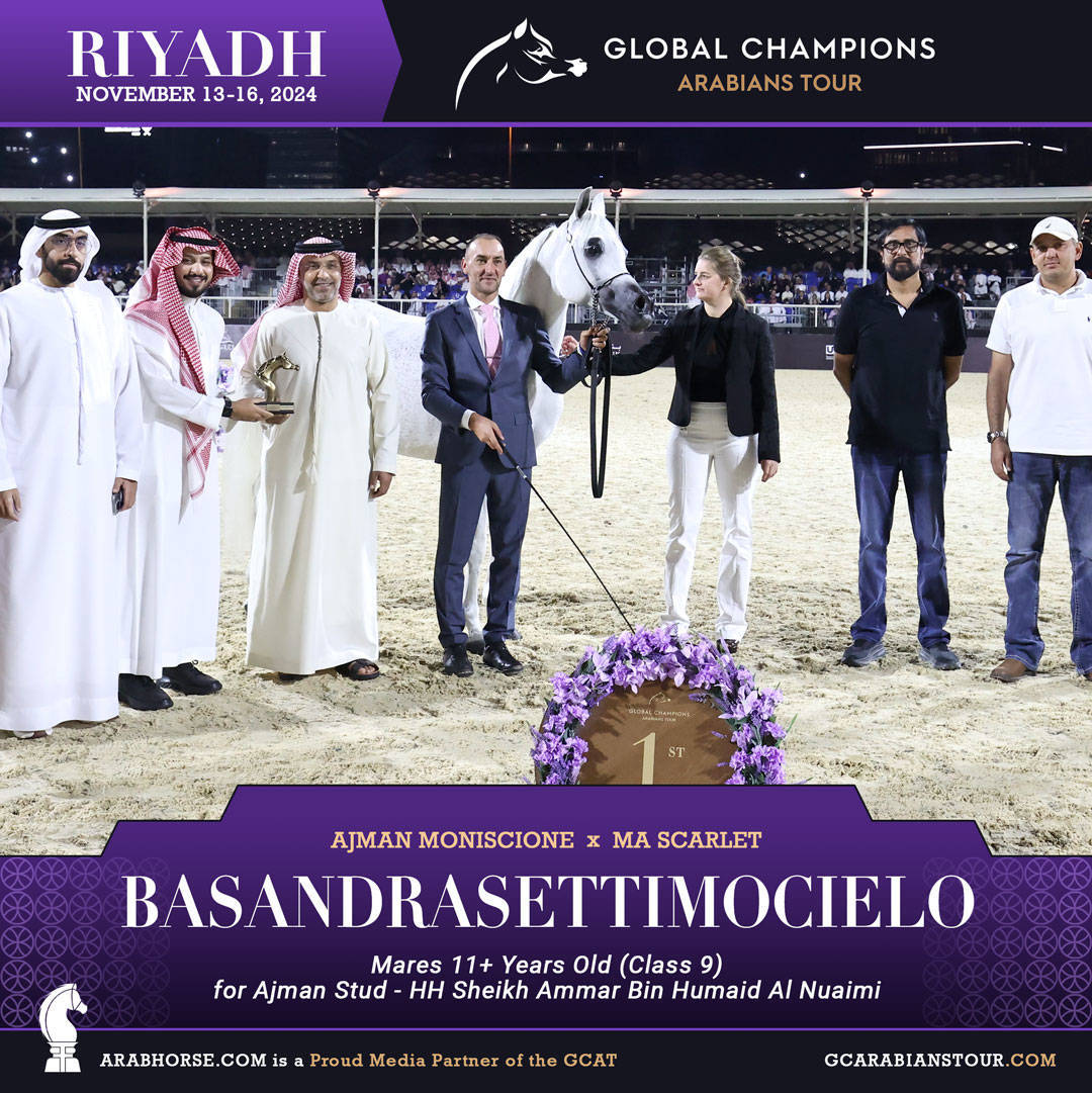 DAY 3: MARVELLOUS MARES AND STELLAR STALLIONS