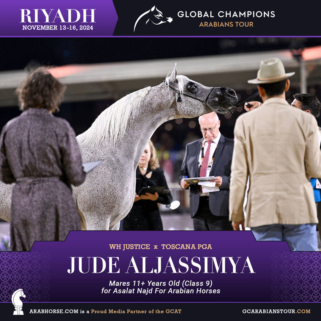 DAY 3: MARVELLOUS MARES AND STELLAR STALLIONS