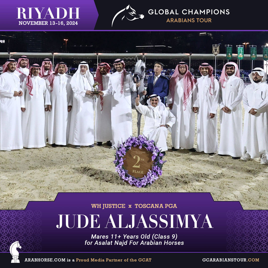 DAY 3: MARVELLOUS MARES AND STELLAR STALLIONS