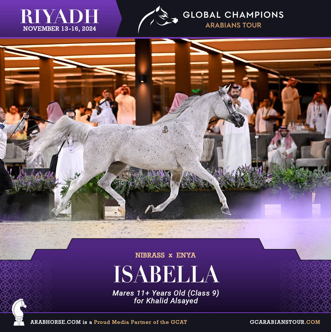 DAY 3: MARVELLOUS MARES AND STELLAR STALLIONS