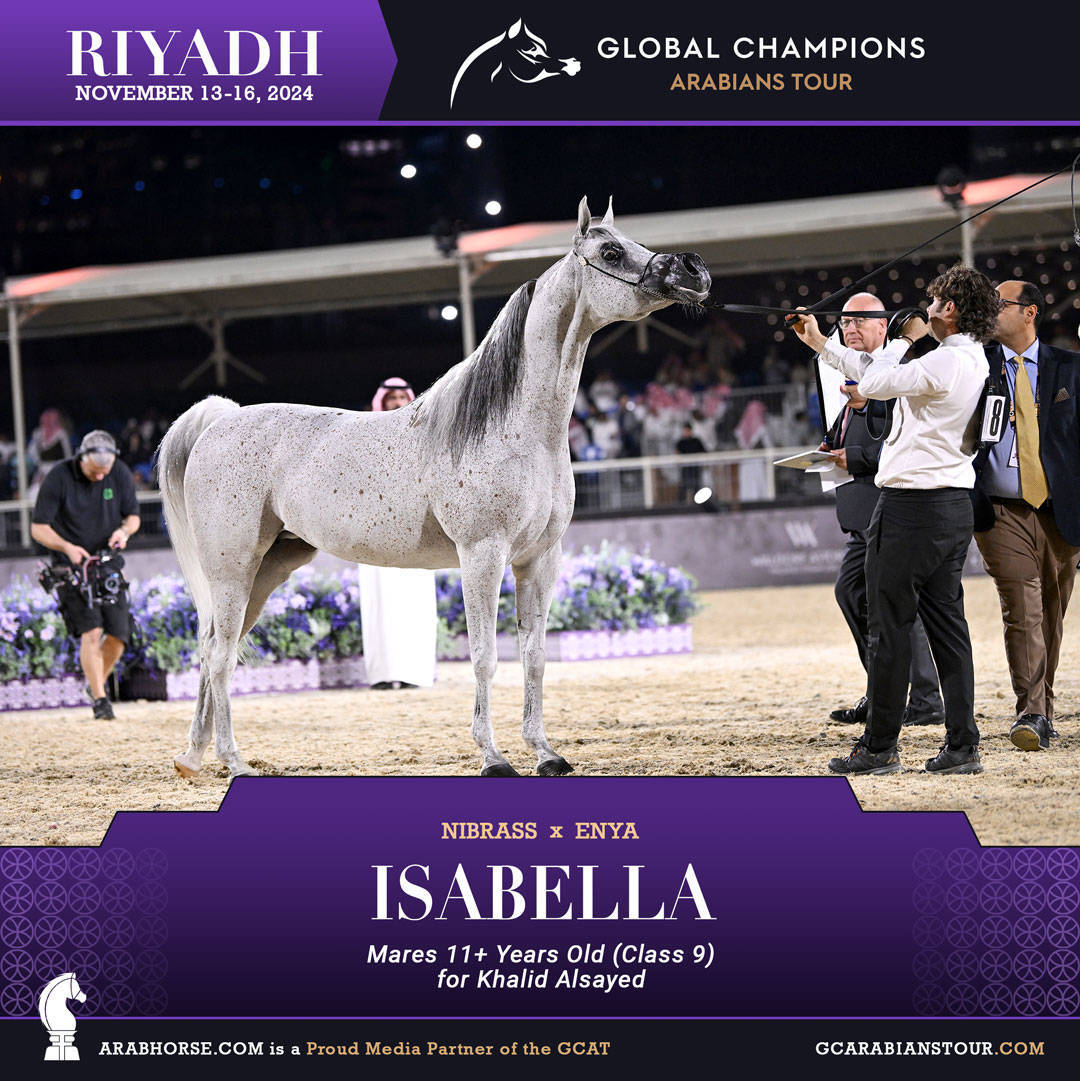 DAY 3: MARVELLOUS MARES AND STELLAR STALLIONS