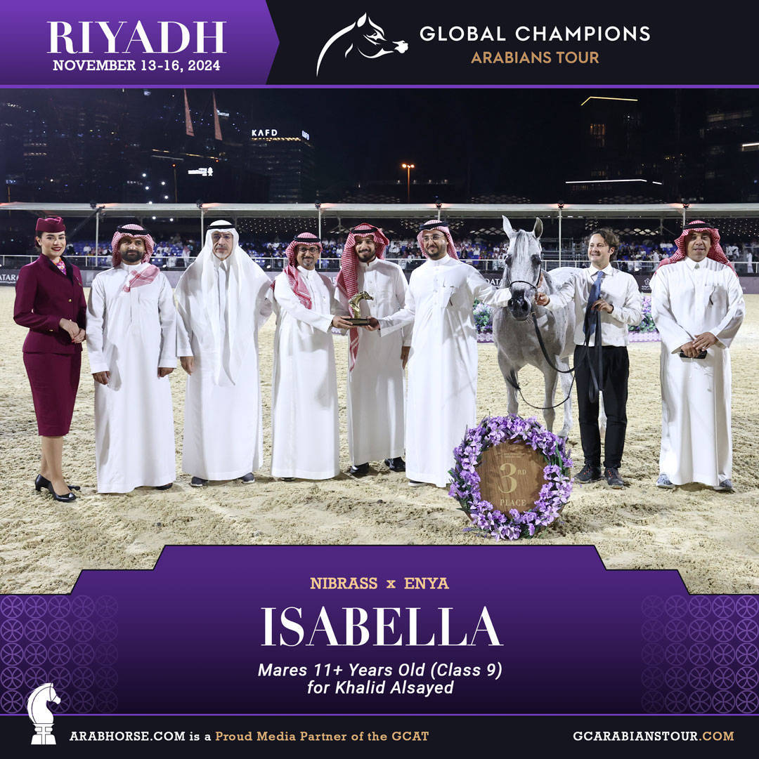 DAY 3: MARVELLOUS MARES AND STELLAR STALLIONS