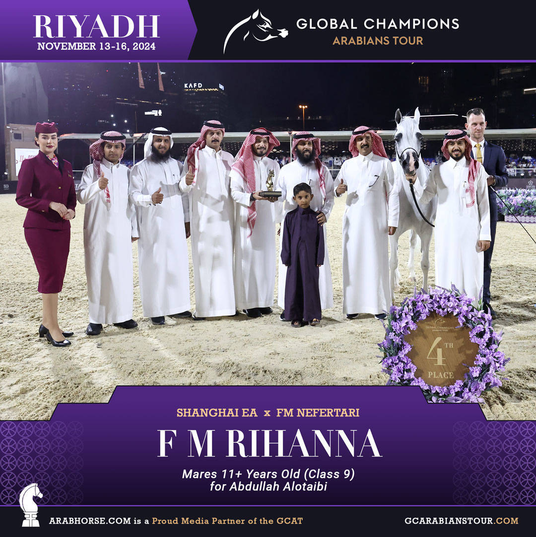 DAY 3: MARVELLOUS MARES AND STELLAR STALLIONS