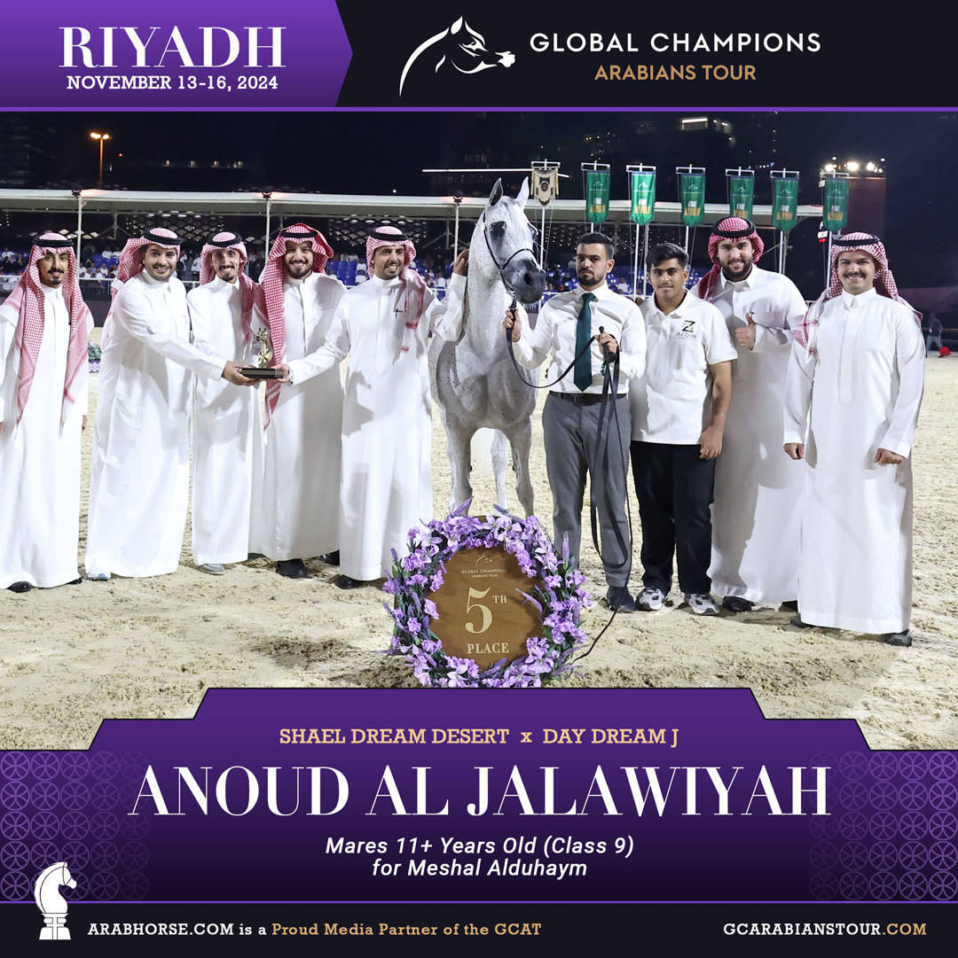 DAY 3: MARVELLOUS MARES AND STELLAR STALLIONS