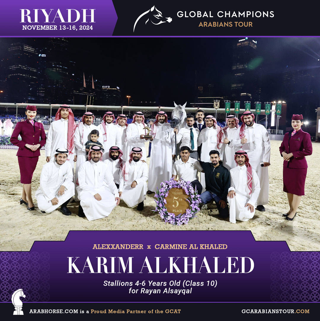 DAY 3: MARVELLOUS MARES AND STELLAR STALLIONS