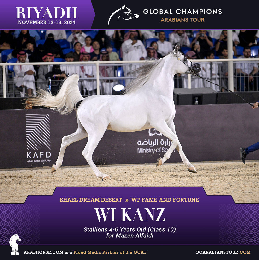 DAY 3: MARVELLOUS MARES AND STELLAR STALLIONS