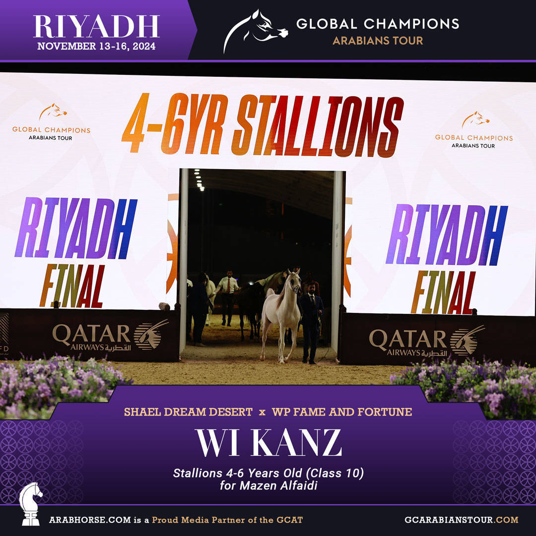 DAY 3: MARVELLOUS MARES AND STELLAR STALLIONS