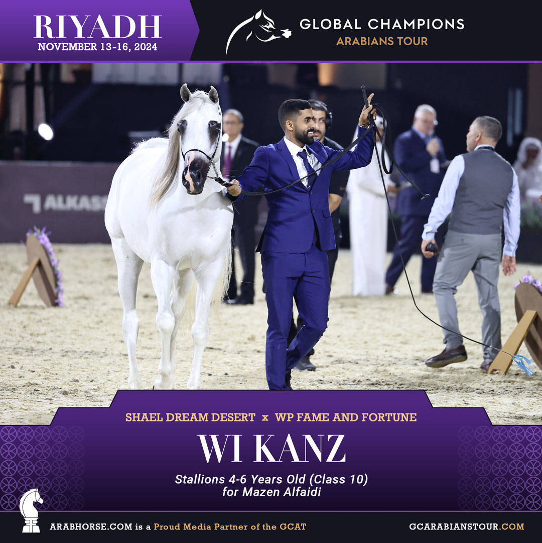 DAY 3: MARVELLOUS MARES AND STELLAR STALLIONS