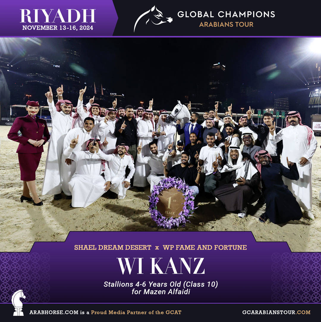 DAY 3: MARVELLOUS MARES AND STELLAR STALLIONS