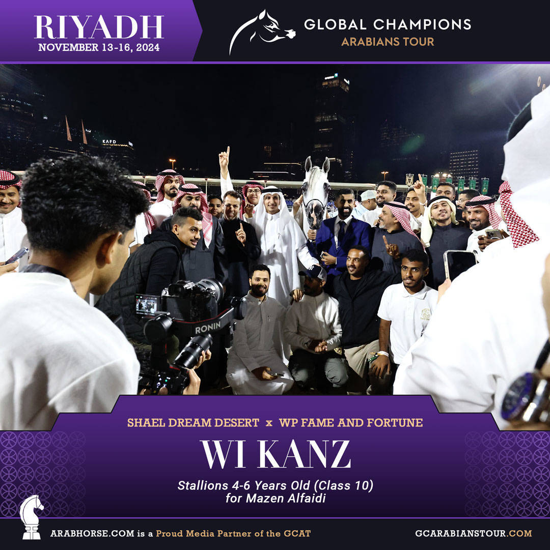 DAY 3: MARVELLOUS MARES AND STELLAR STALLIONS