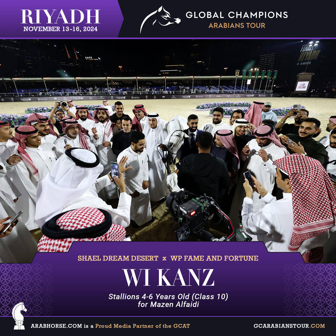 DAY 3: MARVELLOUS MARES AND STELLAR STALLIONS