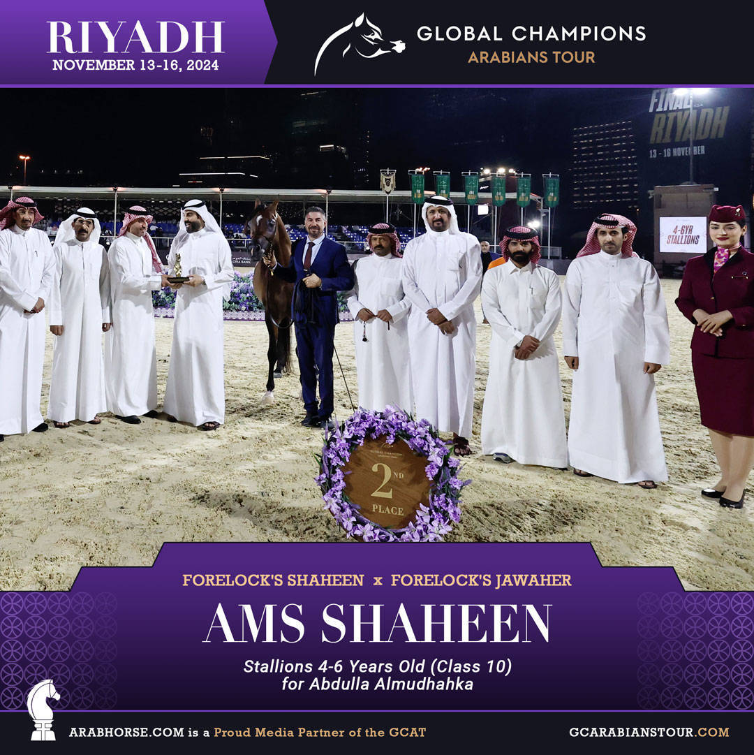 DAY 3: MARVELLOUS MARES AND STELLAR STALLIONS