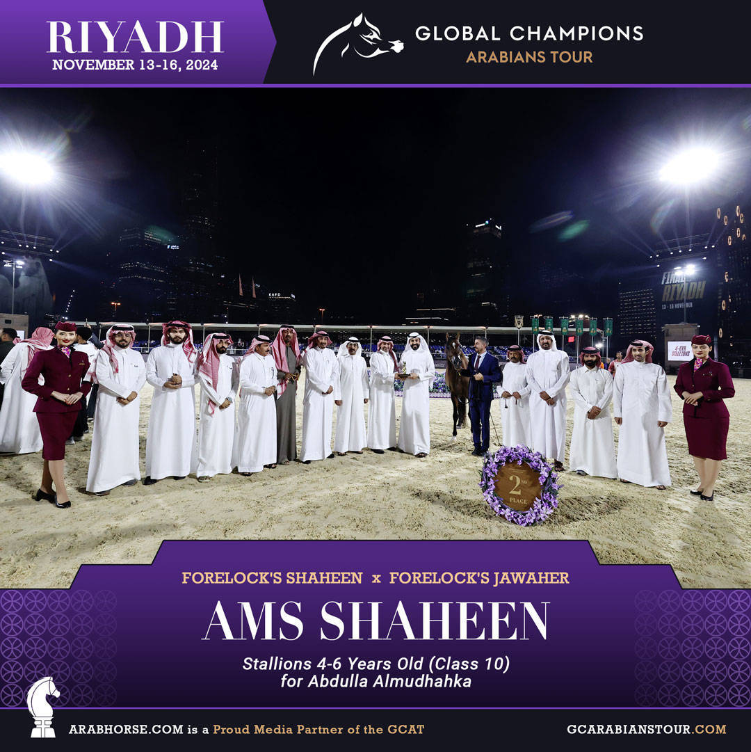 DAY 3: MARVELLOUS MARES AND STELLAR STALLIONS