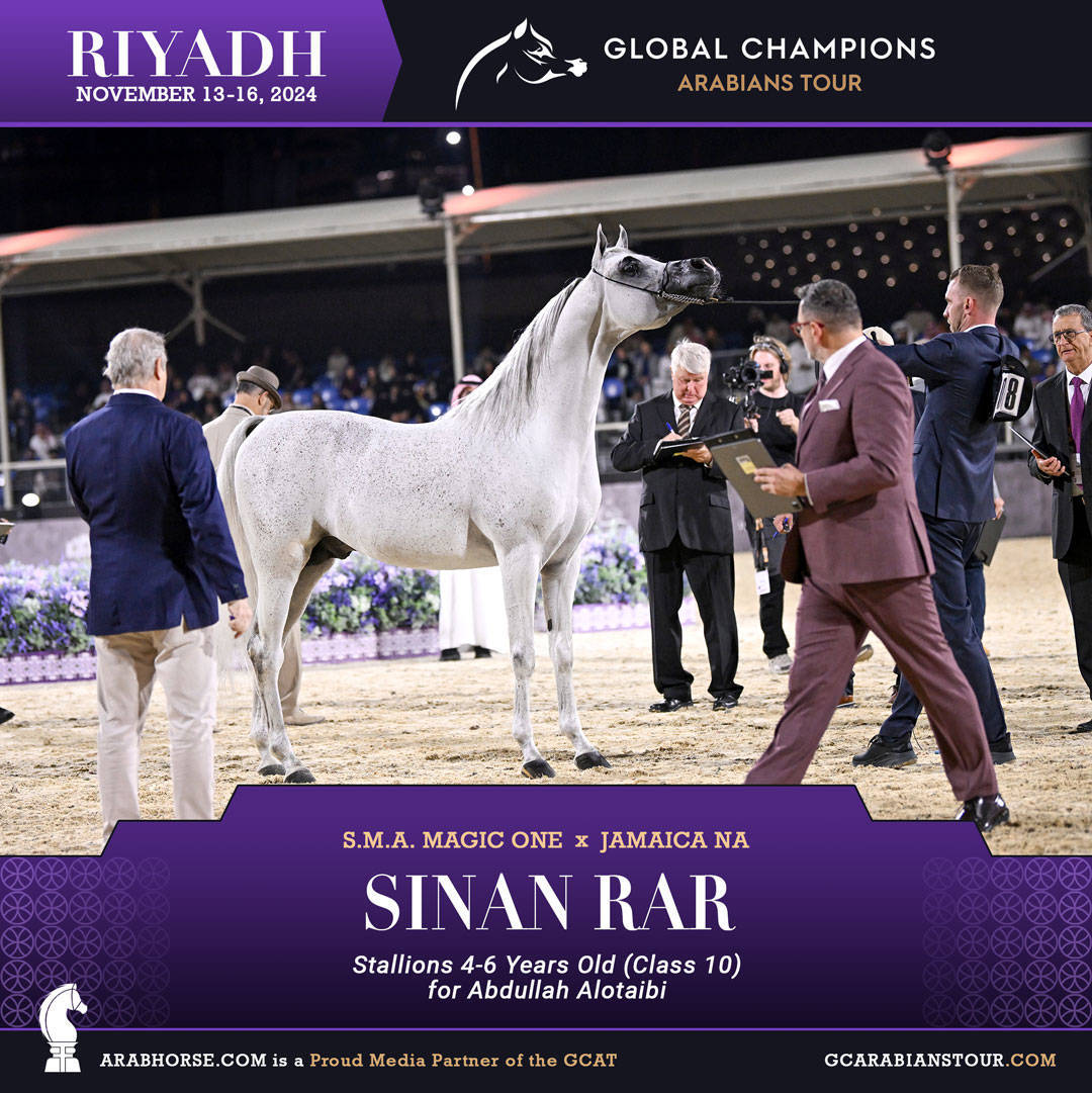 DAY 3: MARVELLOUS MARES AND STELLAR STALLIONS