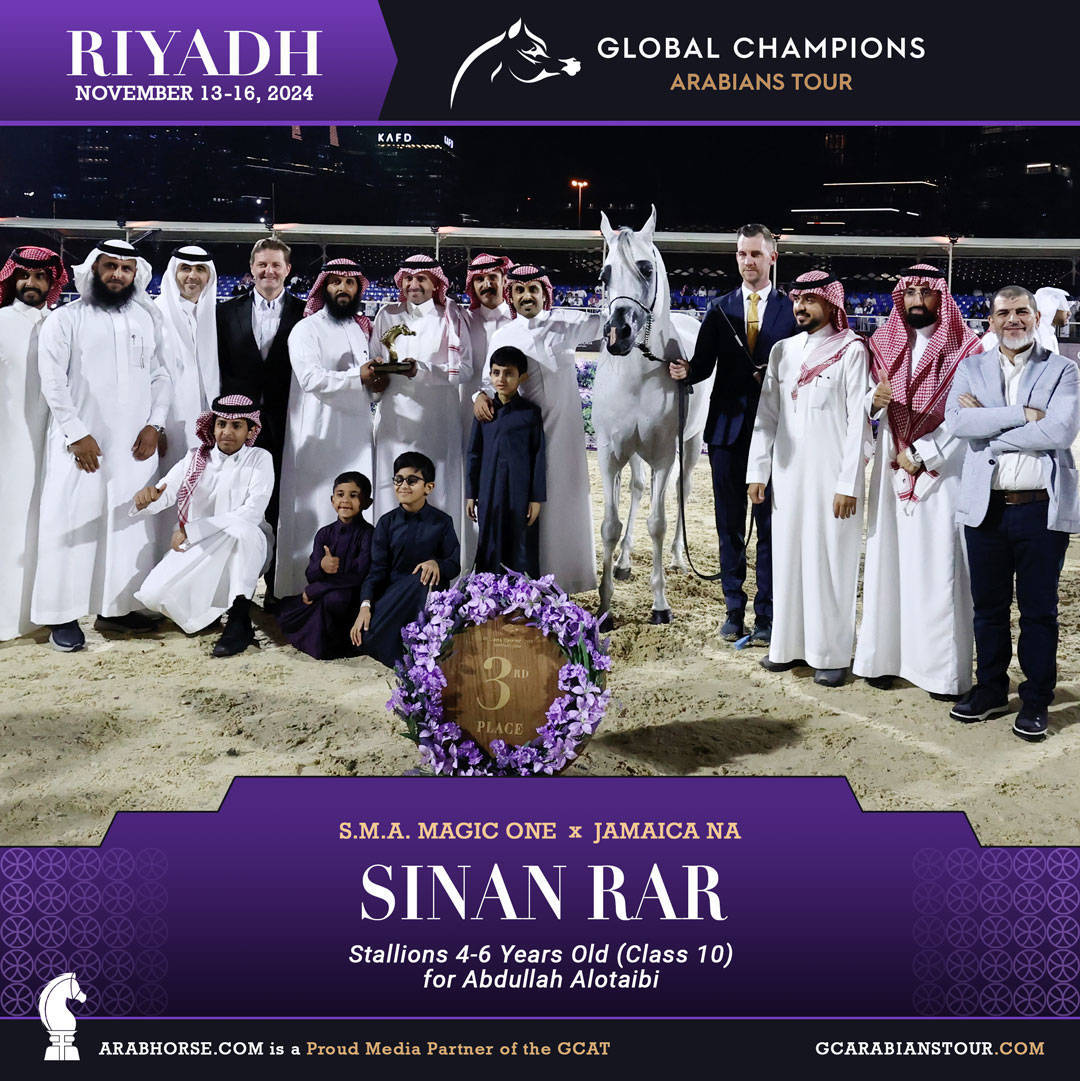 DAY 3: MARVELLOUS MARES AND STELLAR STALLIONS