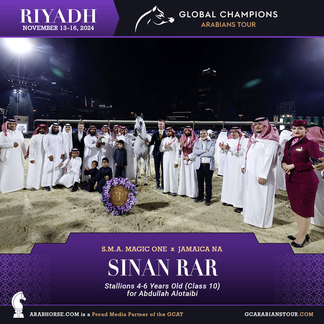 DAY 3: MARVELLOUS MARES AND STELLAR STALLIONS