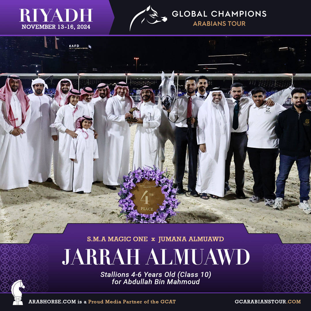 DAY 3: MARVELLOUS MARES AND STELLAR STALLIONS