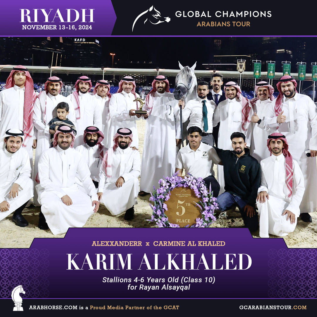 DAY 3: MARVELLOUS MARES AND STELLAR STALLIONS