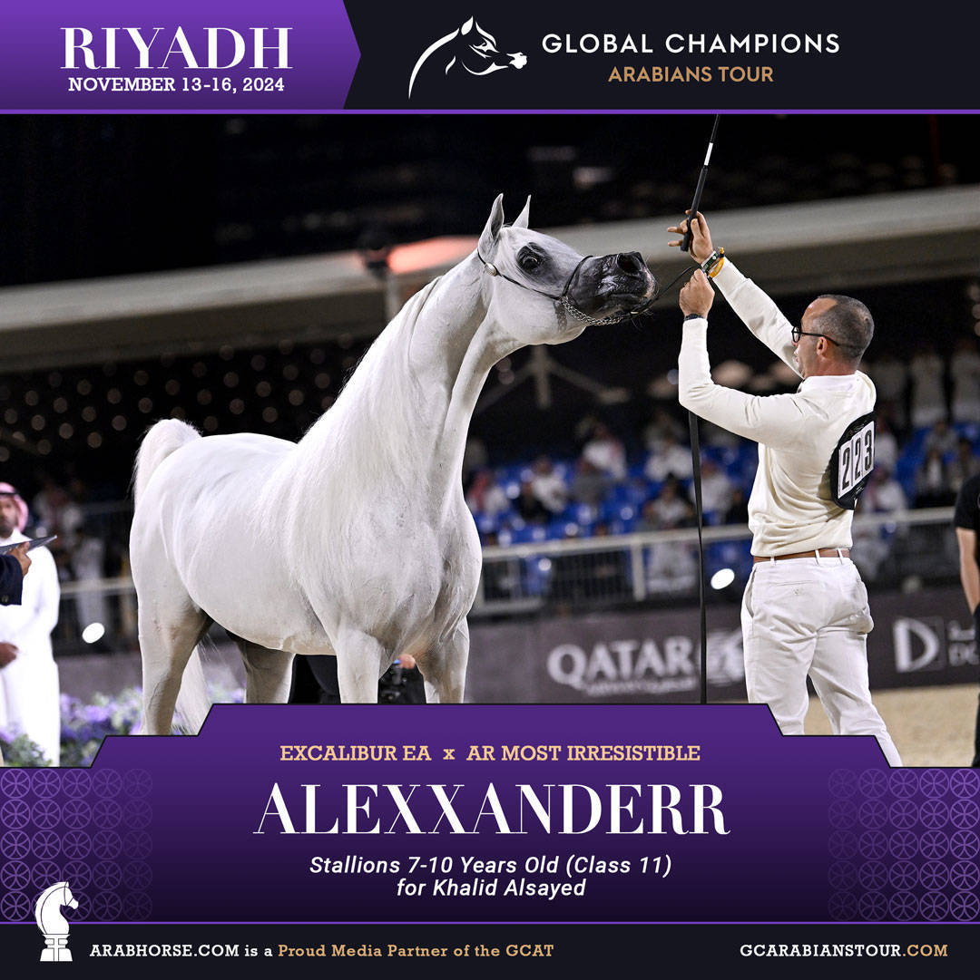 DAY 3: MARVELLOUS MARES AND STELLAR STALLIONS