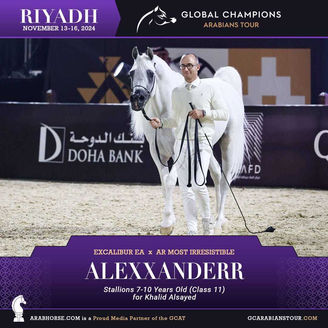 DAY 3: MARVELLOUS MARES AND STELLAR STALLIONS