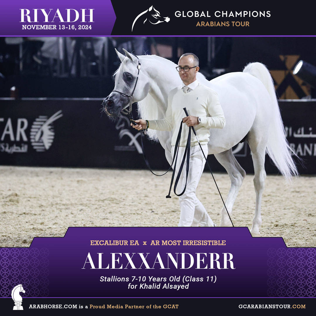 DAY 3: MARVELLOUS MARES AND STELLAR STALLIONS