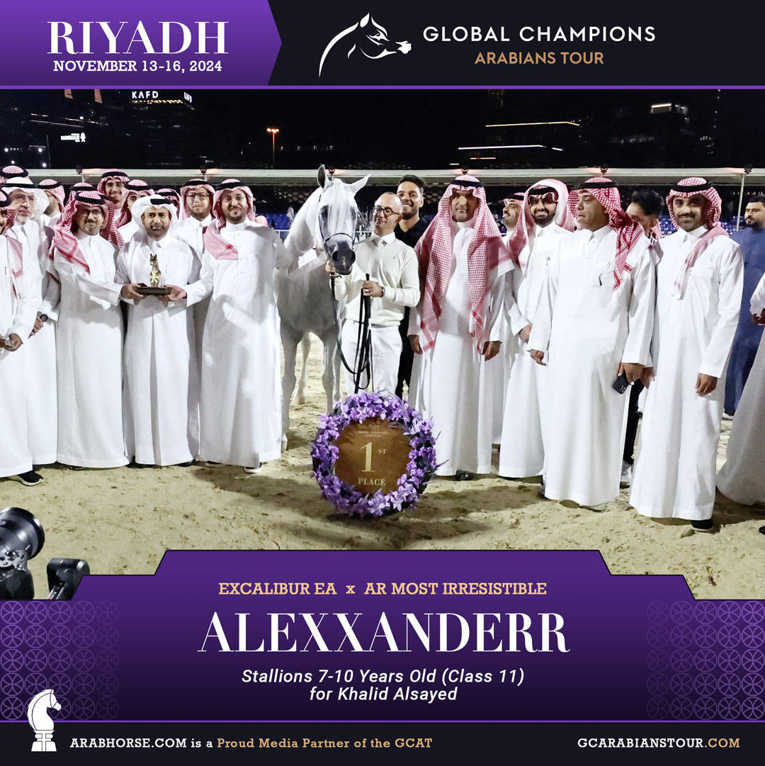 DAY 3: MARVELLOUS MARES AND STELLAR STALLIONS