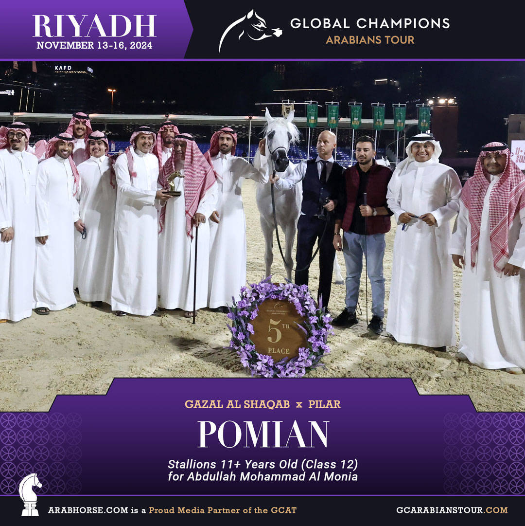 DAY 3: MARVELLOUS MARES AND STELLAR STALLIONS