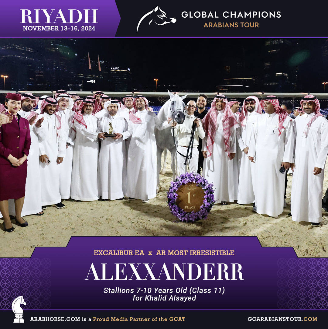 DAY 3: MARVELLOUS MARES AND STELLAR STALLIONS