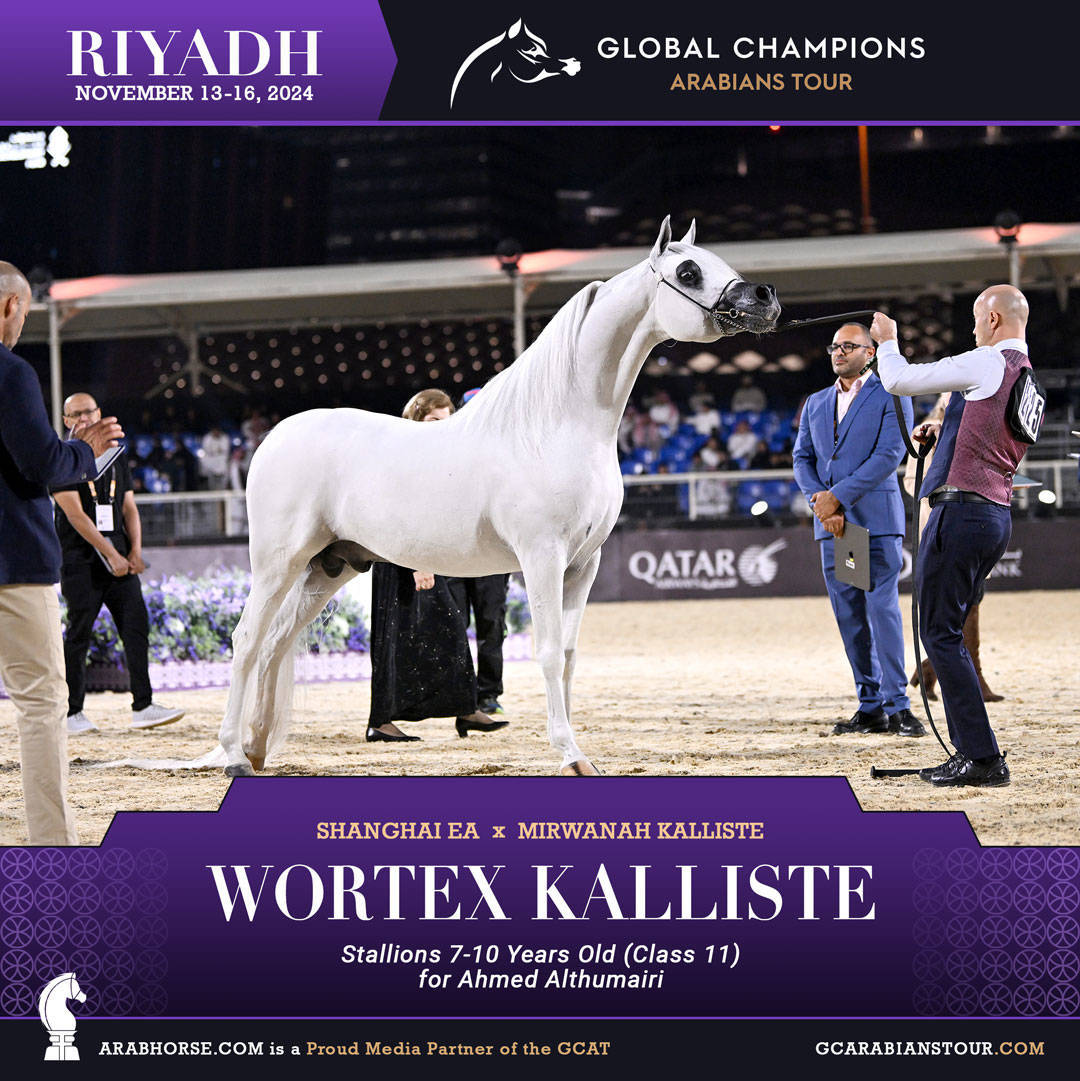 DAY 3: MARVELLOUS MARES AND STELLAR STALLIONS