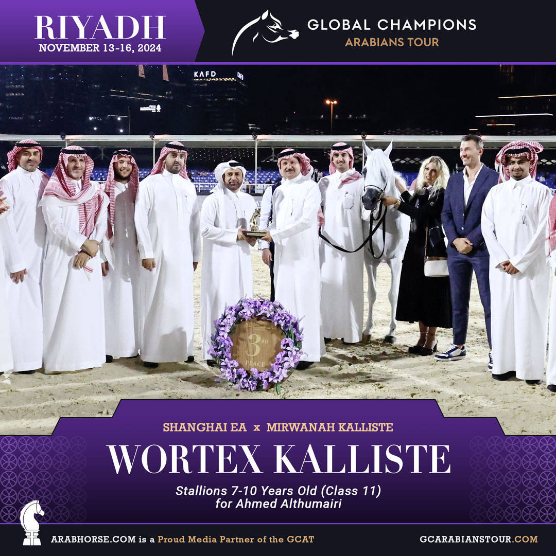 DAY 3: MARVELLOUS MARES AND STELLAR STALLIONS