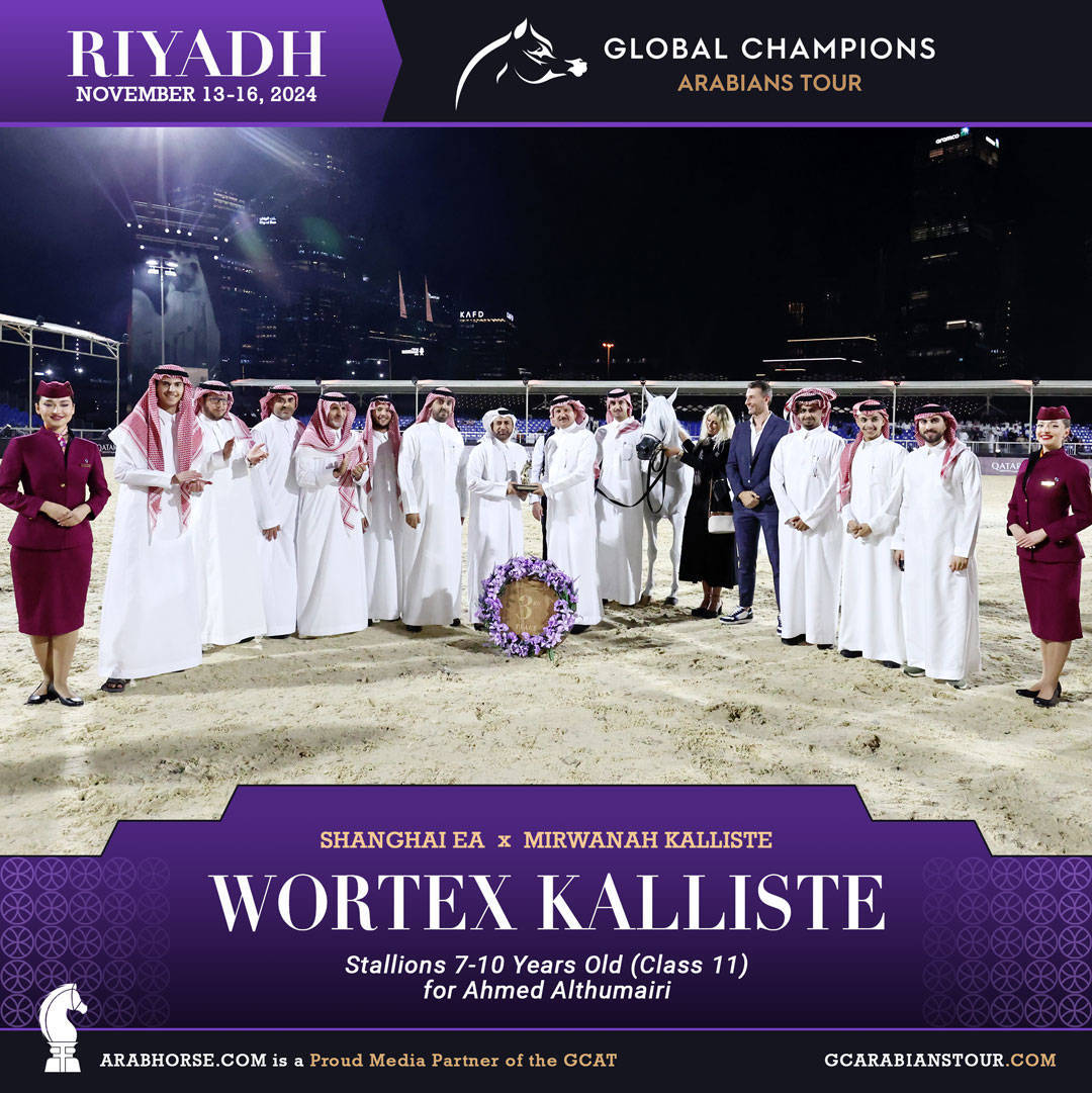 DAY 3: MARVELLOUS MARES AND STELLAR STALLIONS