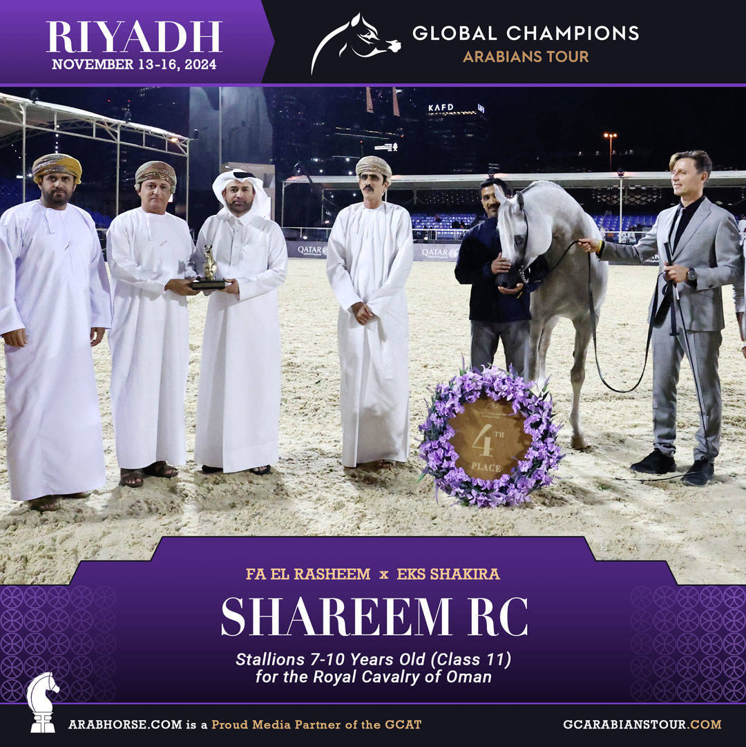 DAY 3: MARVELLOUS MARES AND STELLAR STALLIONS