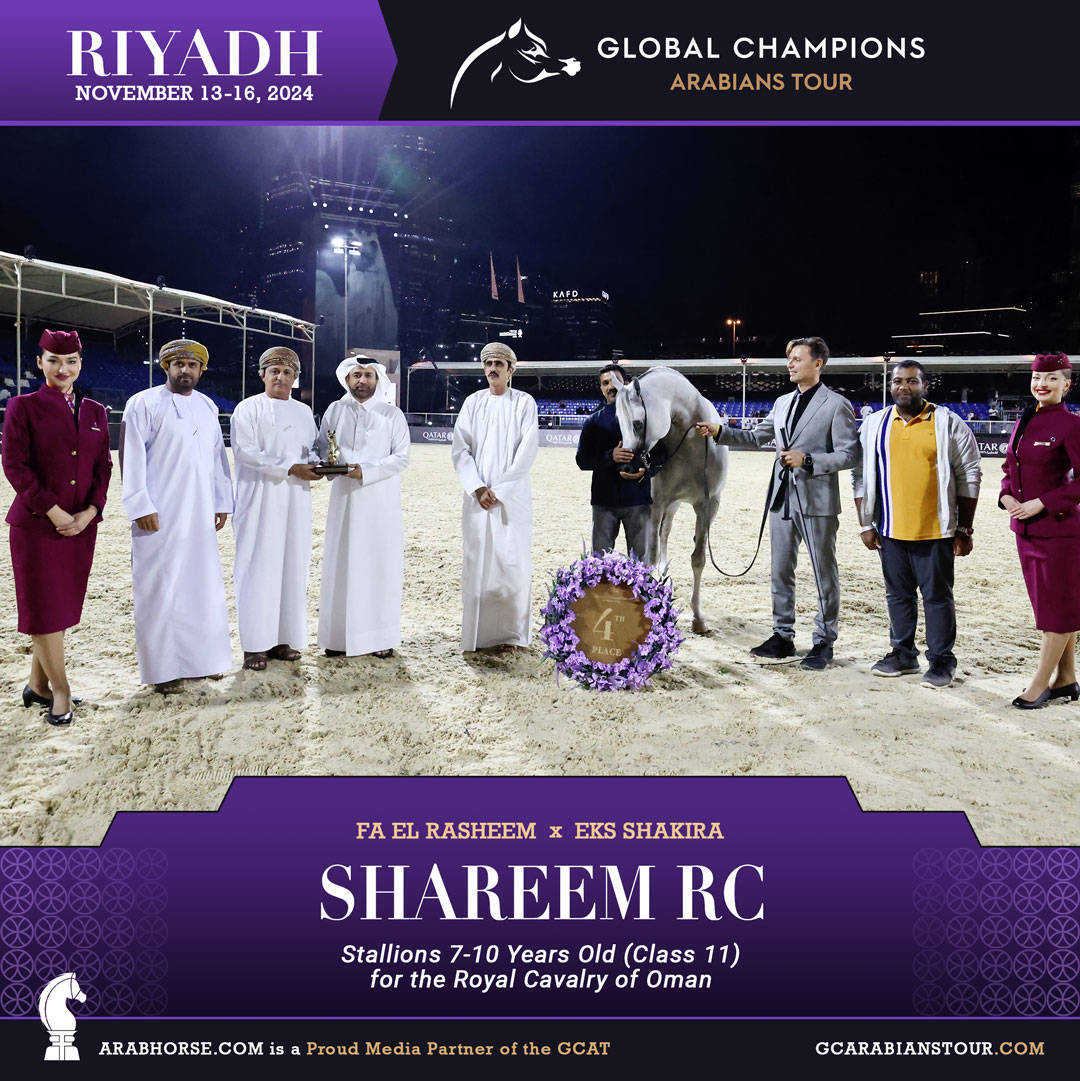 DAY 3: MARVELLOUS MARES AND STELLAR STALLIONS