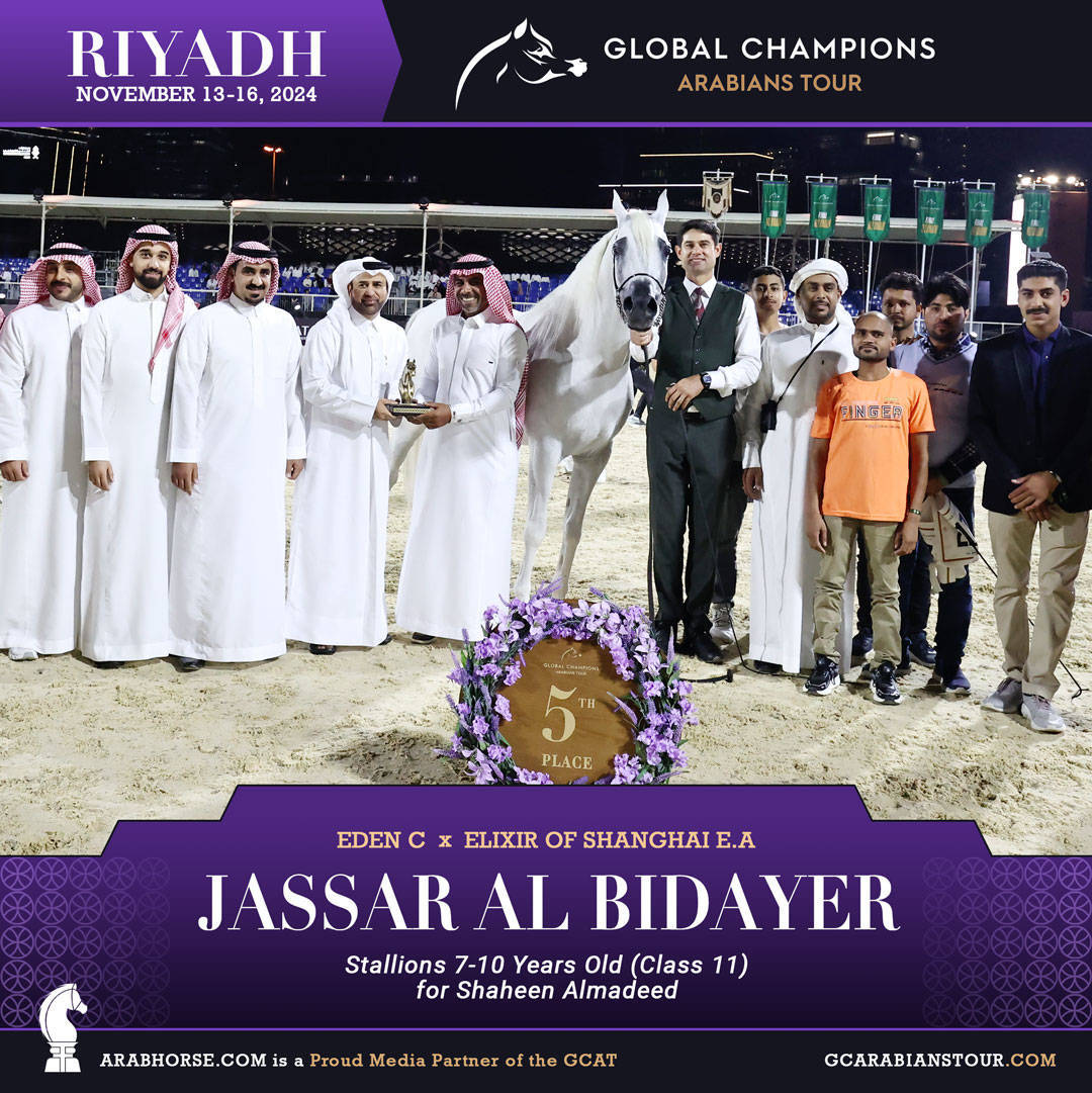 DAY 3: MARVELLOUS MARES AND STELLAR STALLIONS