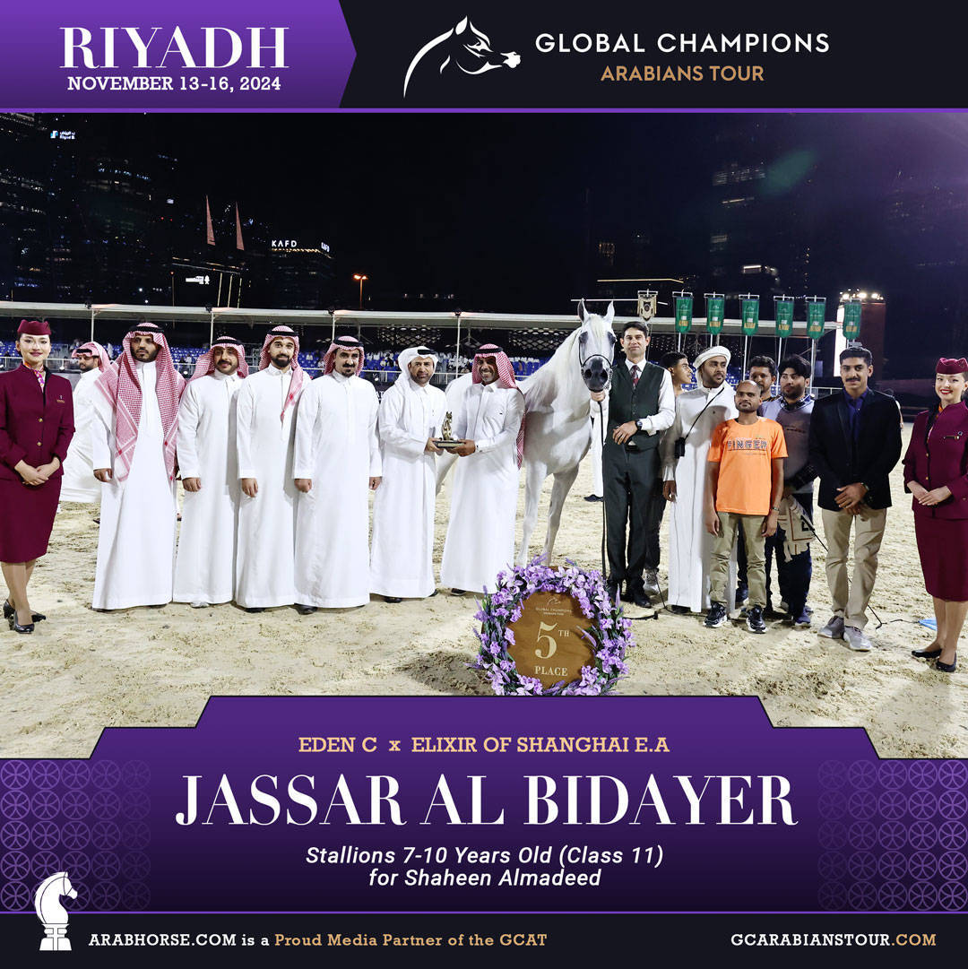 DAY 3: MARVELLOUS MARES AND STELLAR STALLIONS