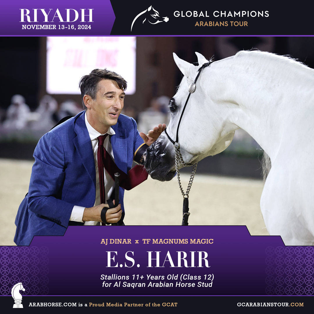 DAY 3: MARVELLOUS MARES AND STELLAR STALLIONS