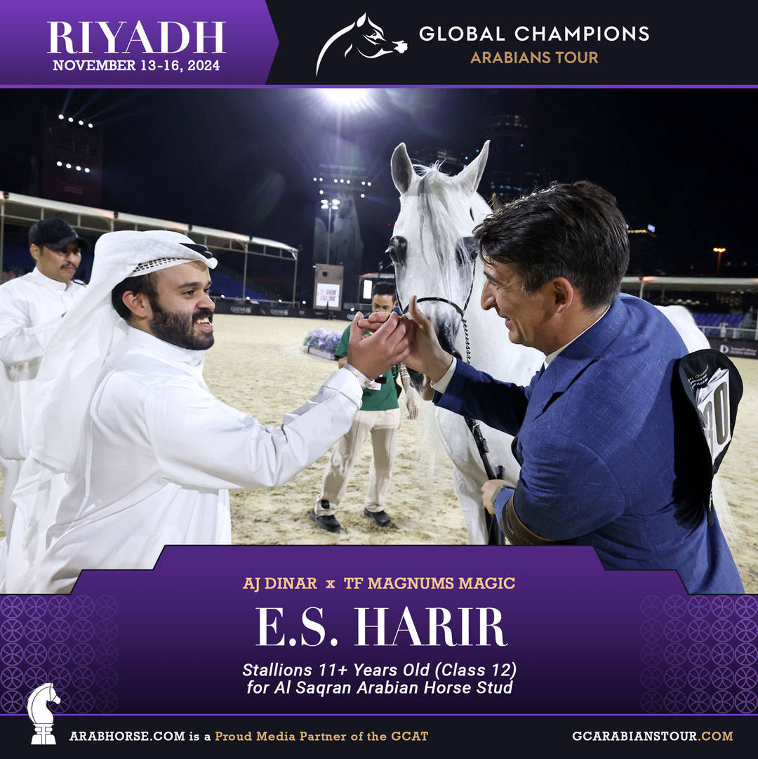 DAY 3: MARVELLOUS MARES AND STELLAR STALLIONS