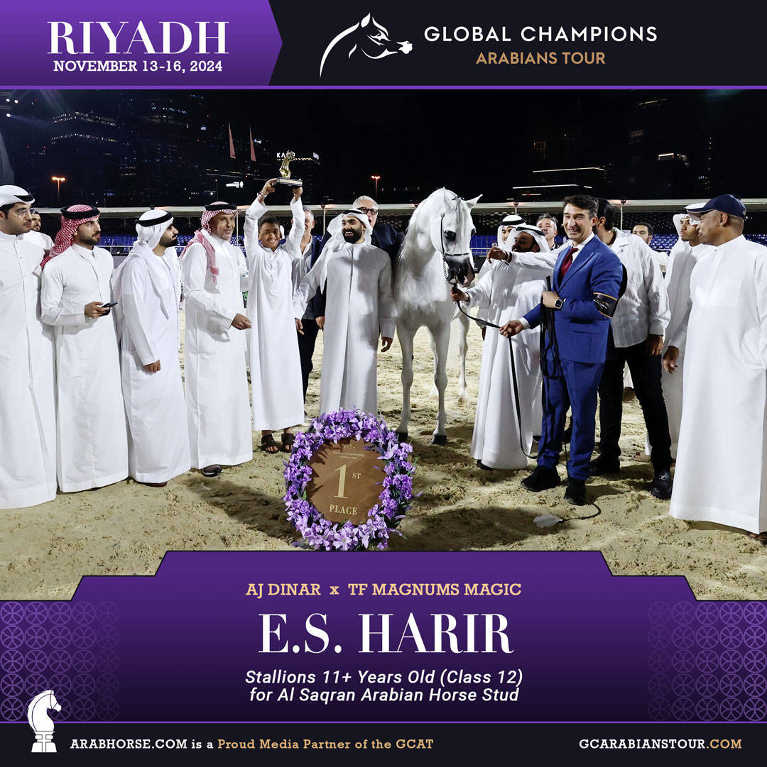 DAY 3: MARVELLOUS MARES AND STELLAR STALLIONS