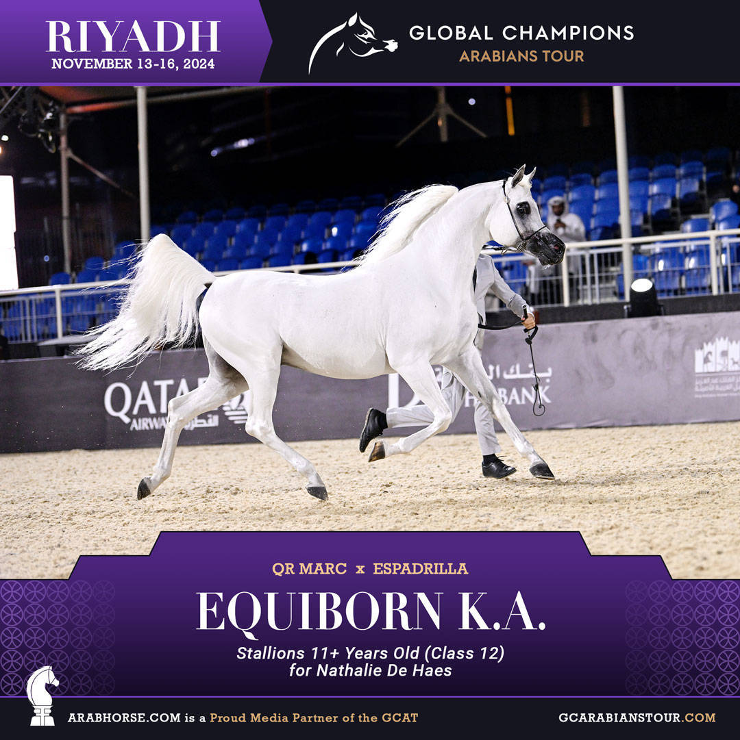 DAY 3: MARVELLOUS MARES AND STELLAR STALLIONS