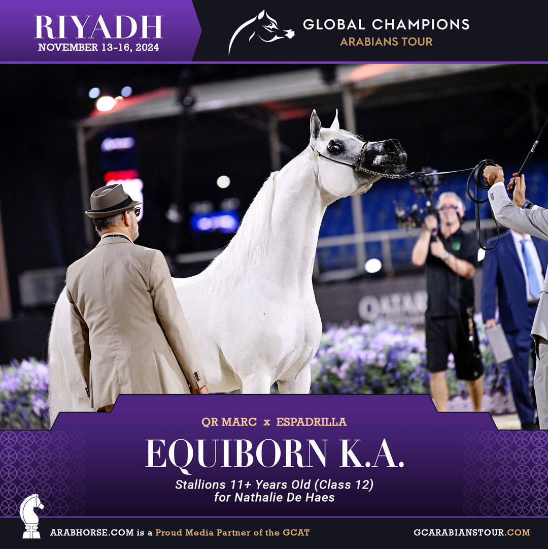 DAY 3: MARVELLOUS MARES AND STELLAR STALLIONS