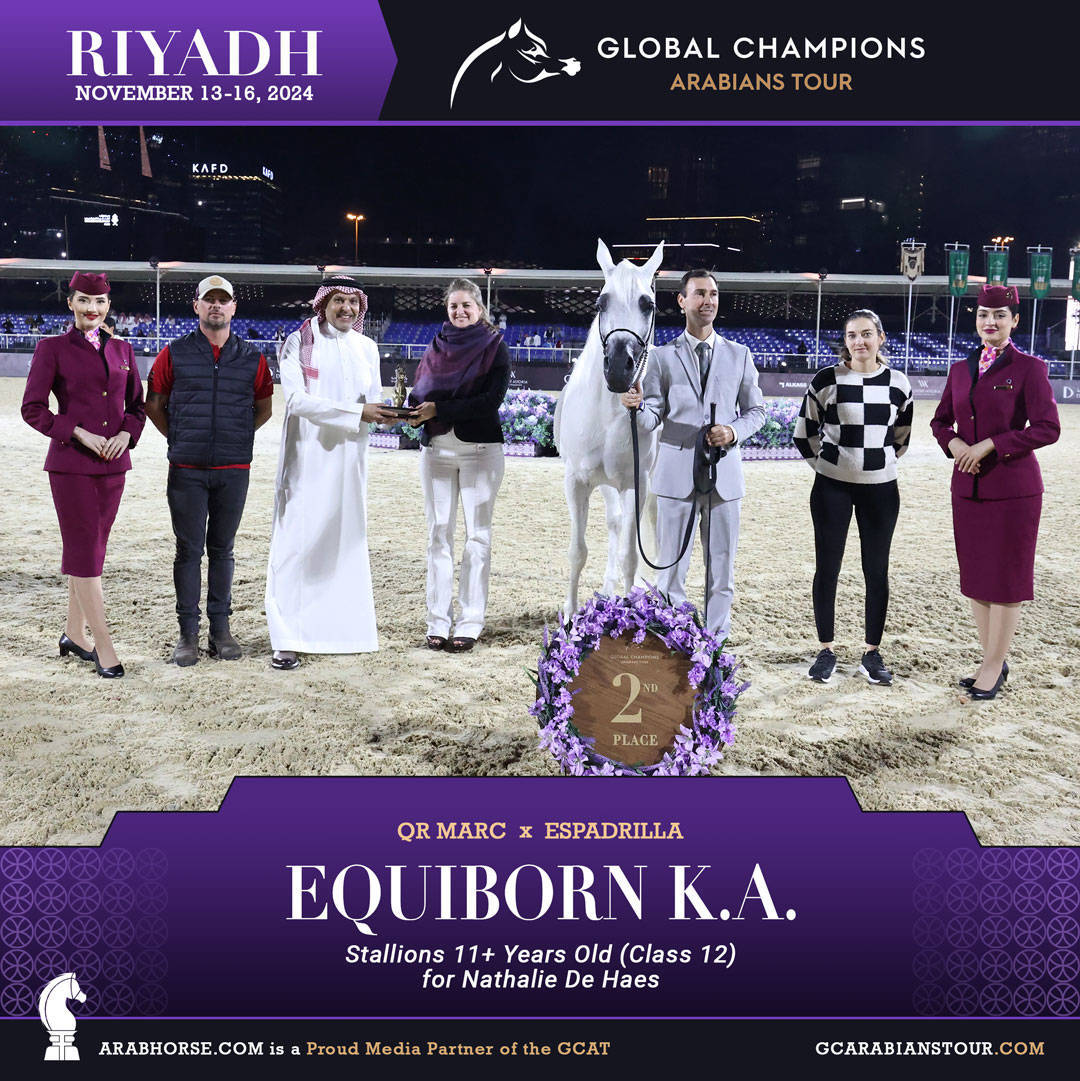 DAY 3: MARVELLOUS MARES AND STELLAR STALLIONS