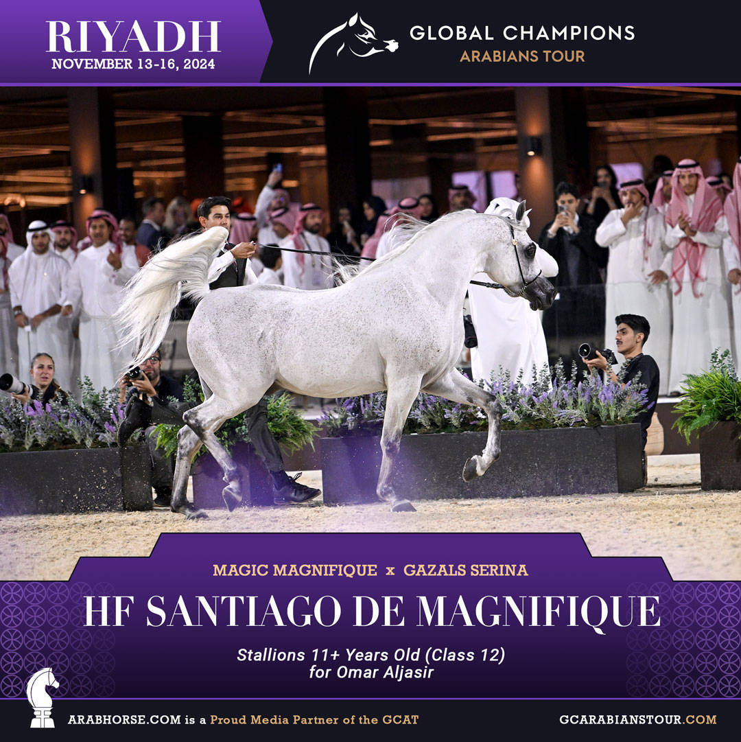 DAY 3: MARVELLOUS MARES AND STELLAR STALLIONS