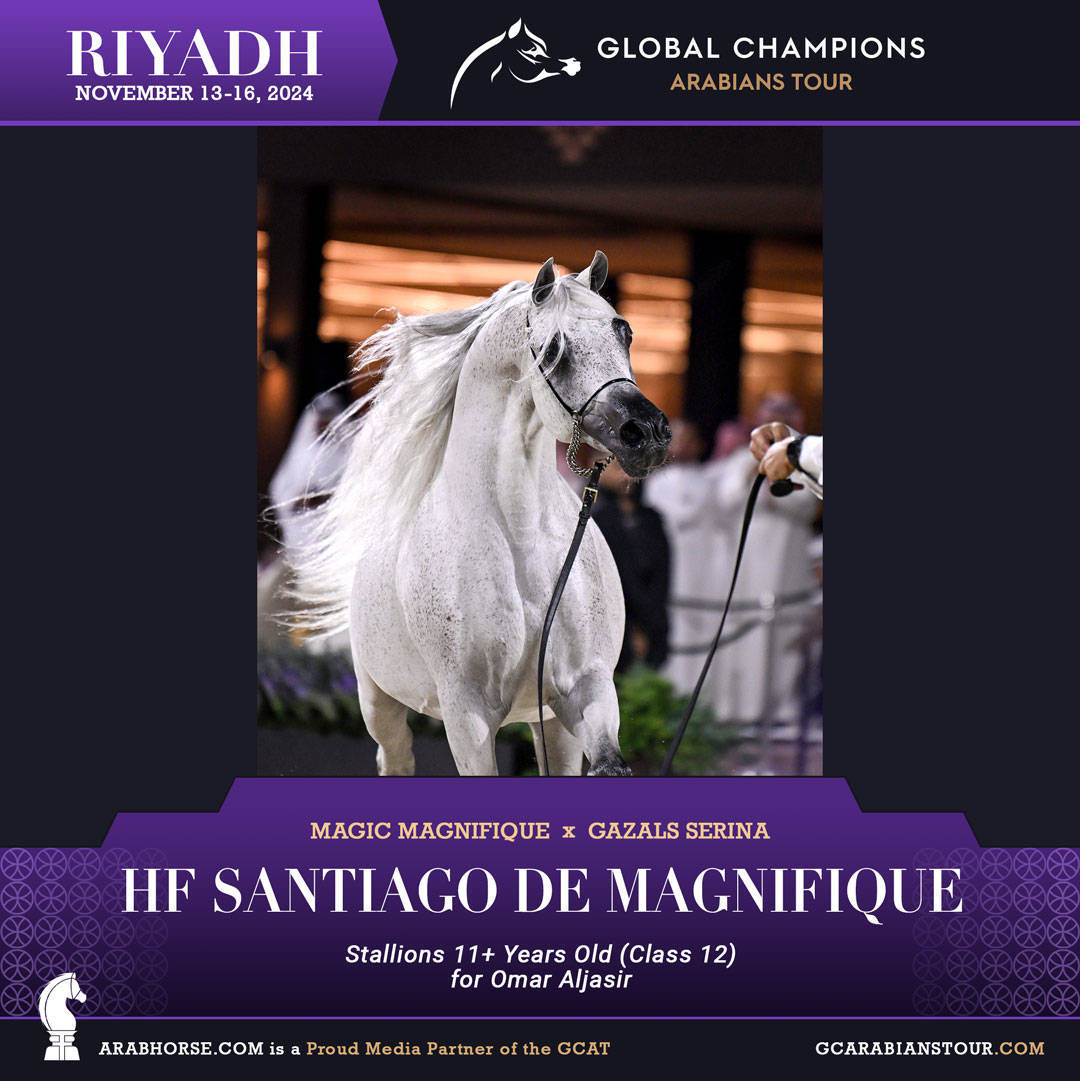 DAY 3: MARVELLOUS MARES AND STELLAR STALLIONS