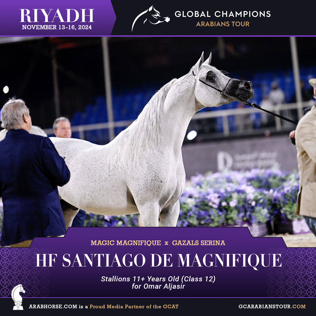 DAY 3: MARVELLOUS MARES AND STELLAR STALLIONS