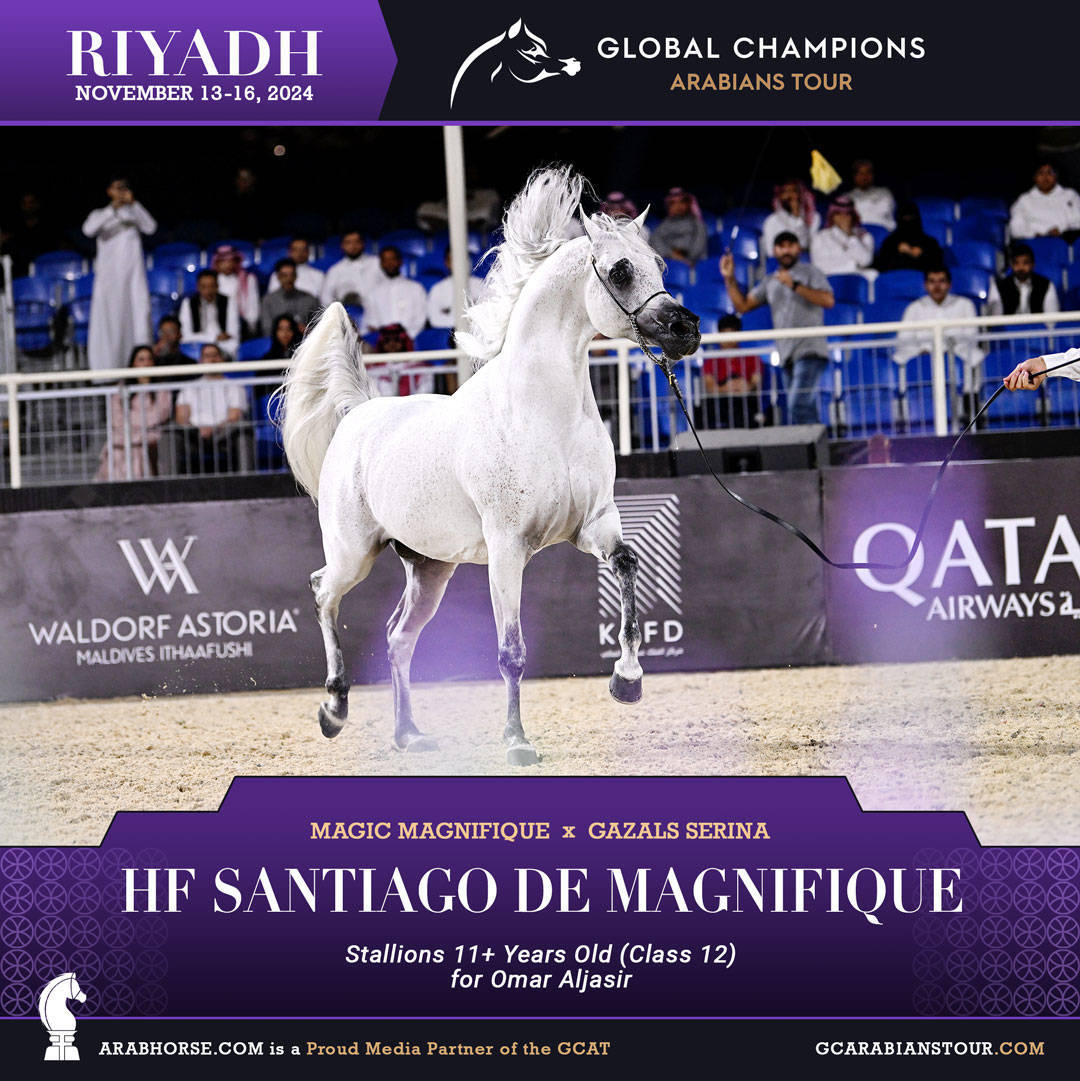 DAY 3: MARVELLOUS MARES AND STELLAR STALLIONS