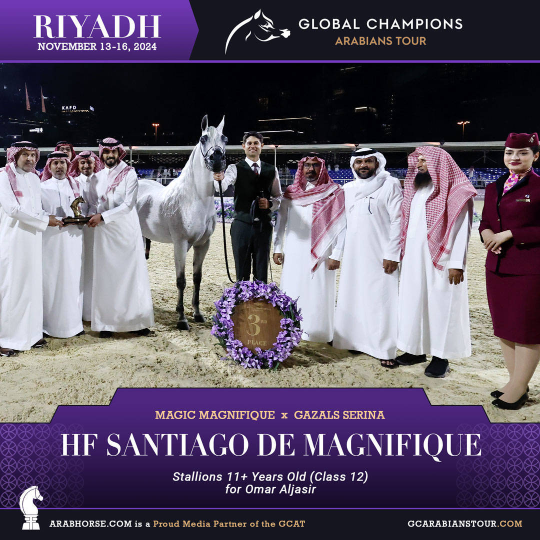 DAY 3: MARVELLOUS MARES AND STELLAR STALLIONS