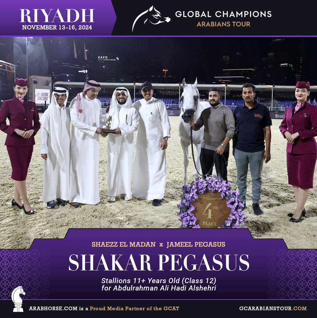 DAY 3: MARVELLOUS MARES AND STELLAR STALLIONS