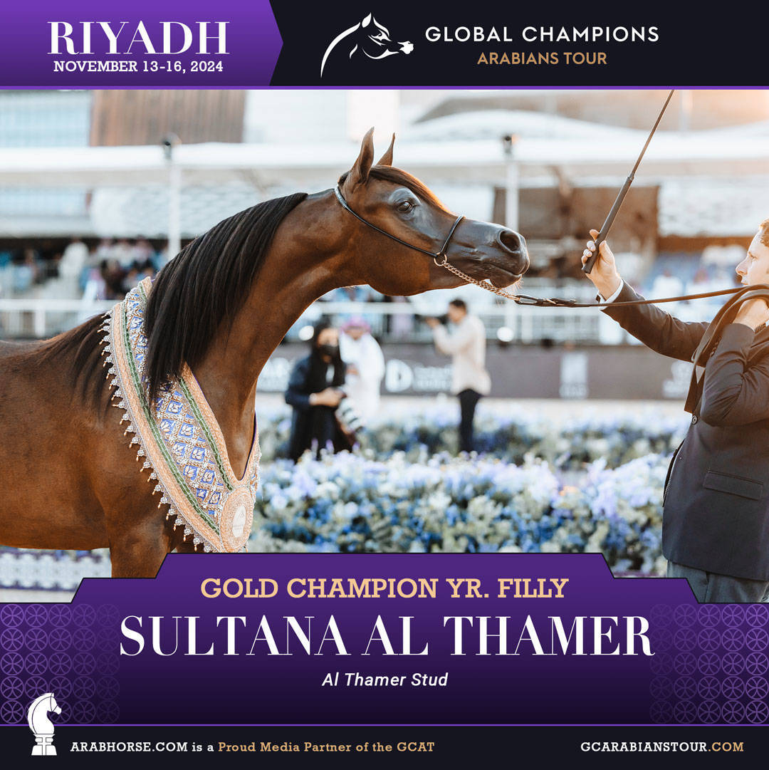 DAY 4: THE GRAND FINALE AND CROWNING CHAMPIONS