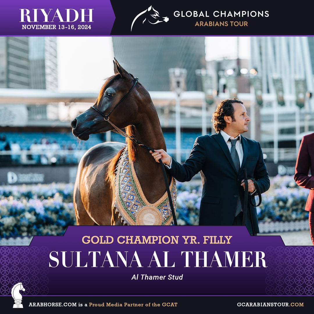 DAY 4: THE GRAND FINALE AND CROWNING CHAMPIONS